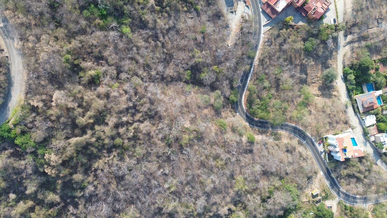 Imagen de WhatsApp 2025 05 02 a las 13.58.49_c6227939