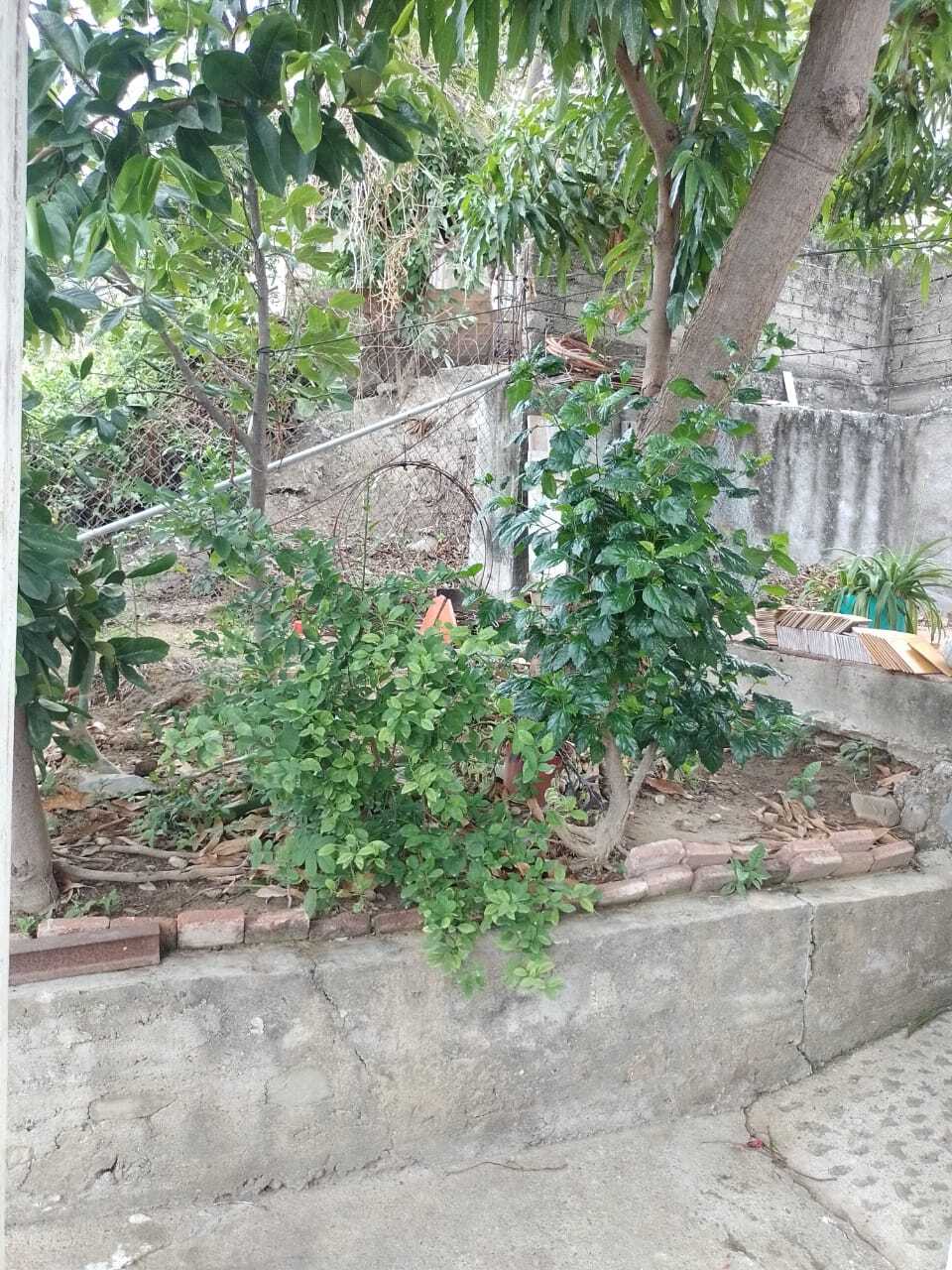 WhatsApp Image 2025 03 18 at 10.56.58 AM_compressed