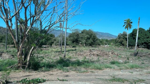 WhatsApp Image 2025-03-19 at 4.19.12 PM (1)