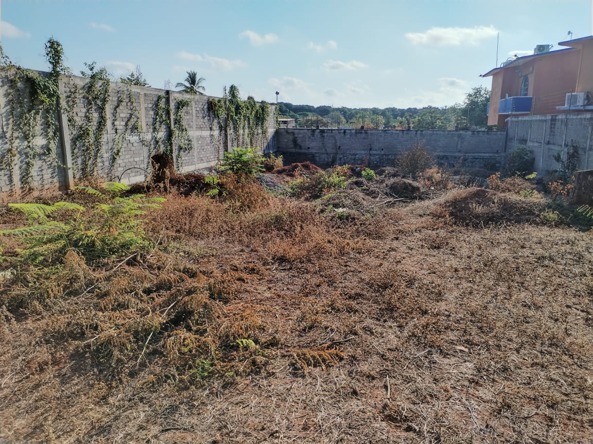 WhatsApp Image 2025 05 21 at 1.20.28 PM 1