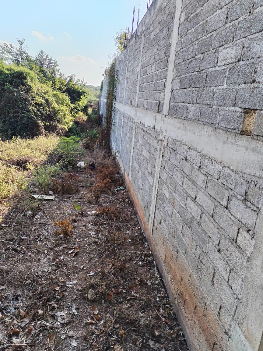 WhatsApp Image 2025 05 21 at 1.20.28 PM 2