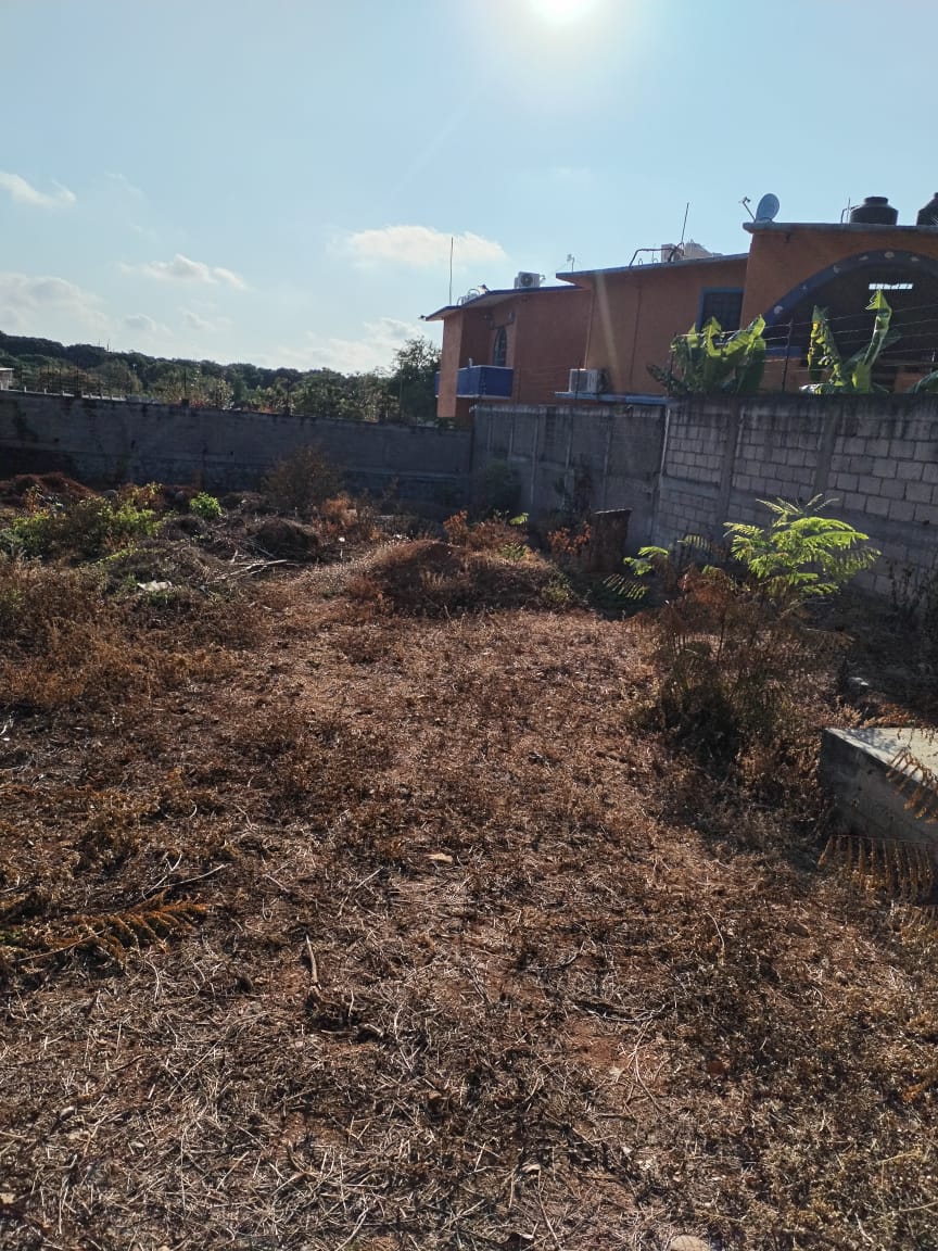 WhatsApp Image 2025 05 21 at 1.20.28 PM 3