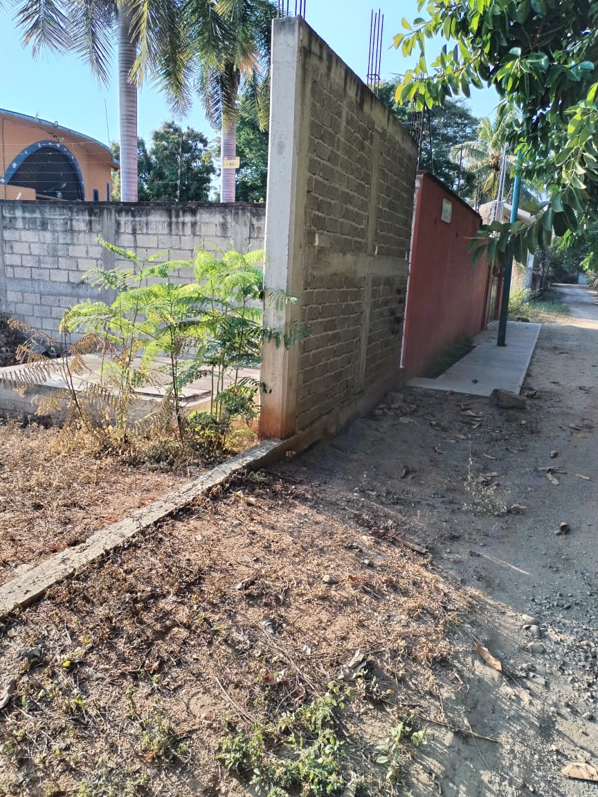 WhatsApp Image 2025 05 21 at 1.20.28 PM 4