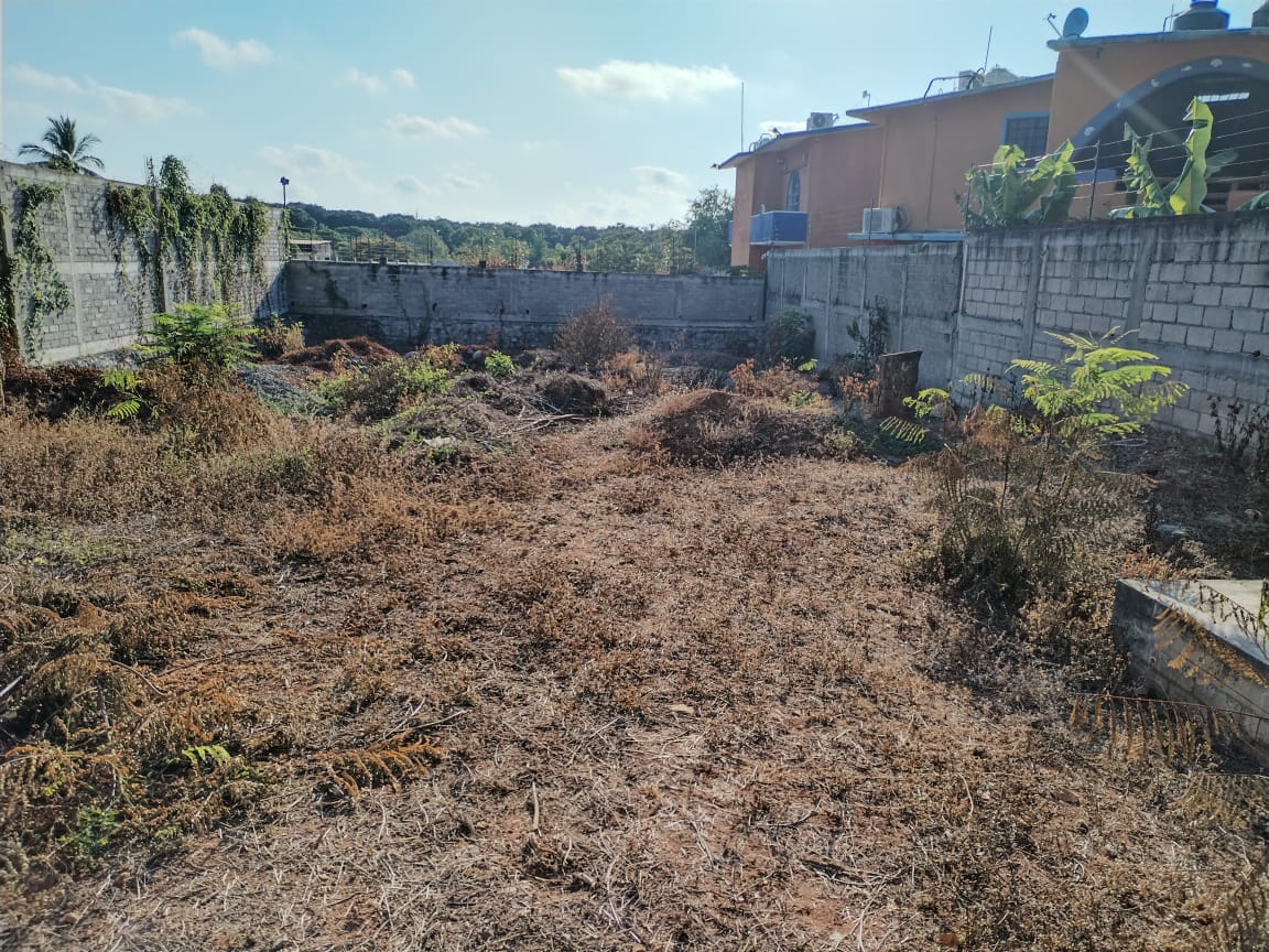 WhatsApp Image 2025 05 21 at 1.20.28 PM